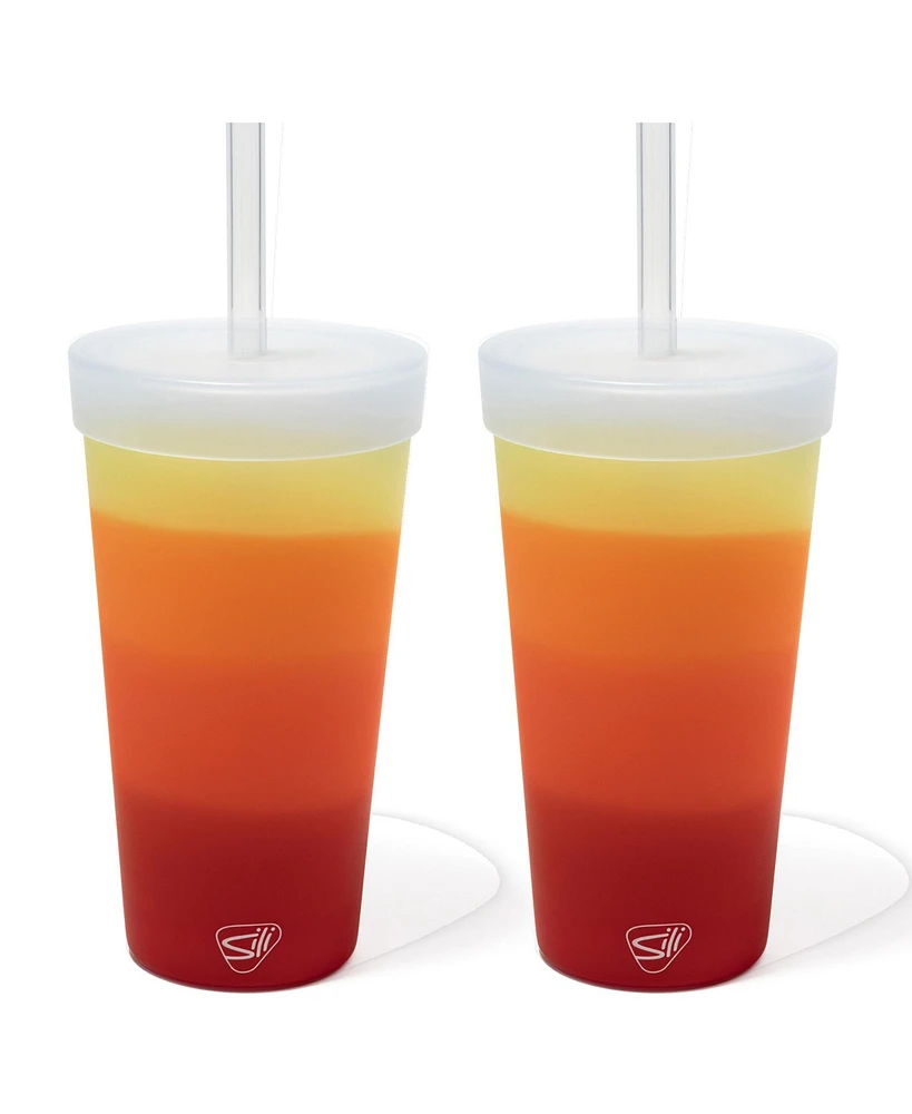 Silipint Straw Tumber 22oz: 2 pk