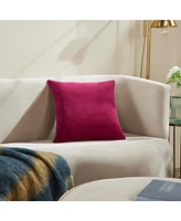 Ihi Home Stella Velvet Decorative Pillow ,20" x 20