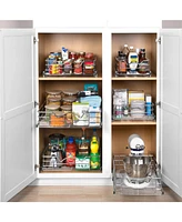 Florida Brands Pull Out Pantry Cabinet Organizer with Chrome Finish 21 x In
