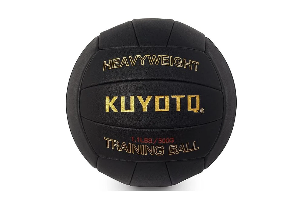 Kuyotq 1.1LBS Weighted Heavy Volleyball