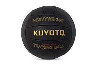 Kuyotq 1.1LBS Weighted Heavy Volleyball