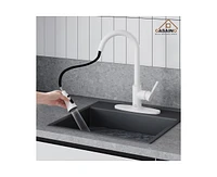 Casainc Pull Down Sprayer Kitchen Faucet with Dual-Function Sprayer and Deck Plate in Spot-Free