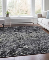 Addison Chantille ACN768 10'x14' Area Rug