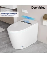 DeerValley Smart Toilet Elongated Modren Bidet Toilet with Auto/Blackout Flush, Heated Seat, Warm Wash, Dryer