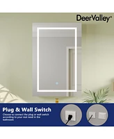 DeerValley 24'' W x 36'' H Led Lighted Wall Mounted Medicine Cabinets with Mirror and 2 Adjustable Shelves