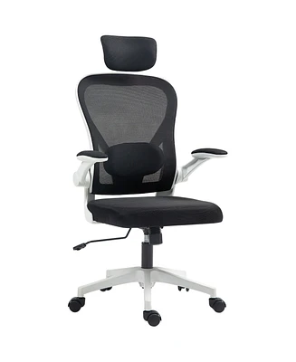 Homcom Ergonomic Office Chair, Mesh Desk Chair with Lumbar Support,