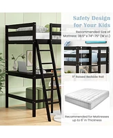 Gouun Twin Size Loft Bed Frame with Desk Angled and Built-in Ladder