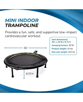 Stamina Fitness Trampoline - Exercise Trampoline with Smart Workout App