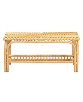 Bali & Pari Himari Modern Bohemian Natural Brown Rattan Accent Bench