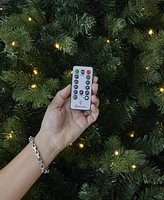 Seasonal 6ft Palmetto Pine Tree, 350 Dual Led Lights