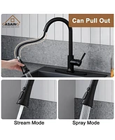 Casainc Pull Down Sprayer Kitchen Faucet with Dual-Function Sprayer and Deck Plate in Spot-Free