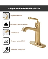 Casainc Single Hole Faucet Single-handle Bathroom with Drain Assembly