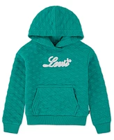 Levi's Big Girls Meet and Greet Sweatshirt
