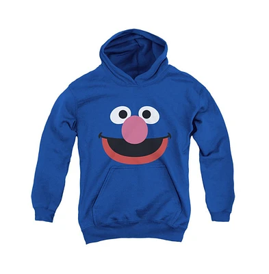 Sesame Street Boys Youth Grover Face Pull Over Hoodie