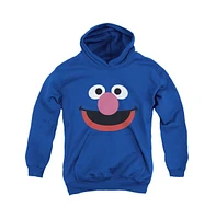 Sesame Street Boys Youth Grover Face Pull Over Hoodie