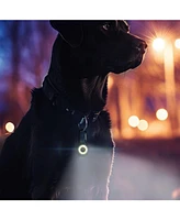 Pilot & Scout Clip-Brite Led Safety Light for Pets, High Visibility, Clip-On Led for Dogs and Cats