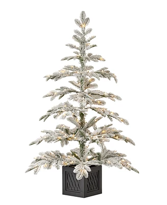 Seasonal 4ft Jackson Flocked Pine, 150 Warm Led Lights