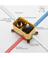 Casainc All-In-One Kit with Rough in-Valve