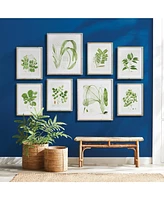 Napa Home & Garden Tree Leaf Study, Set Of 6