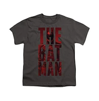 Batman Boys The Crimson Crusader Short Sleeve Tee / T-Shirt