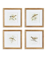 Napa Home & Garden Perching Bird Study Petite, Set Of 4