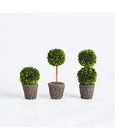 Boxwood Mini Topiary Drop-Ins, Set Of 3