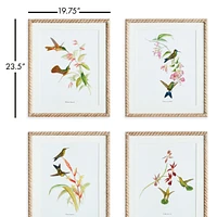 Playful Hummingbird Prints, Set Of 4