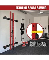 Er Kang 2.36" x Folding Wall Mounted Squat Rack, 1000 Pounds Capacity Power Rack with Pull Up Bar, J Hooks, Landmine and Other Attachments, Spac