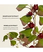 Shiseido 4-Pc. Radiance & Resilience Ritual Skincare Set