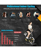 Magnetic Exercise Bike Fixed Belt Drive Indoor Bicycle