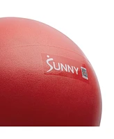 Sunny Health & Fitness Premium 9" Mini Exercise Ball, Extra Thick Anti-Burst Pvc for Core, Yoga, Pilates, Barre, Physical Therapy, Balance, Flexibilit