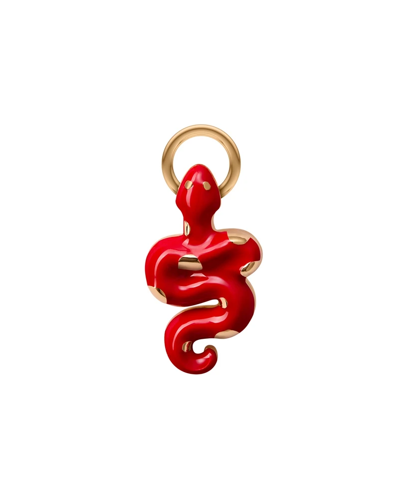 Lunar New Year Charm Accessory