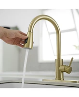Single Handle Pull-Down Sprayer Spray High Arc Pull Down Sprayer Kitchen Faucet