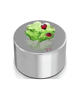 Swarovski Idyllia Clover and Ladybug Decorative Box