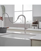 Single Handle Pull Down Sprayer Kitchen Faucet