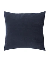 Star Wars Welcome to the Galaxy R2-d Decorative Toddler Pillow, 15" x 12"