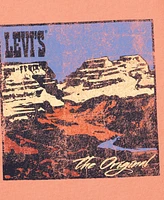 Levi's Toddler & Little Boys Canyon Landscape T-Shirt
