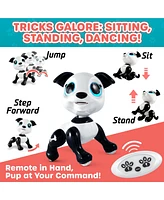 Power Your Fun Robo Pets Puppy
