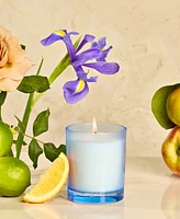 Apotheke Canvas Petite Scented Candle, 5 oz.