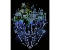 Harry Potter Hogwarts Patronus Line Art Men's Black T-shirt-3XL