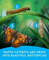 National Geographic Butterfly Growing Kit