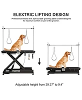 Super Deluxe Electric Pet Grooming Table, Color