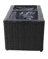 2-Section Polyrattan Rectangle Indoor Planters - 21.5 Inches W x 11.5 D 9.25 H