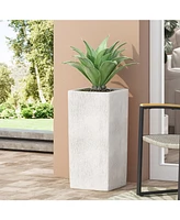 Plant Illuminators: Highlight Your Garden's Charm