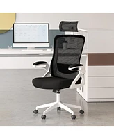 Adjustable Swivel Task Chair Ergonomic Office Chair with Adjustable Lumbar Support