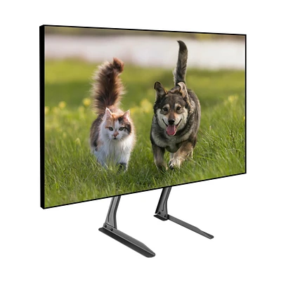 ProMounts Premium Fixed Tabletop Tv Stand Mount for 13 to 72 inch Screens, Holds up to 110Lbs