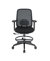 FlexiSpot C2HB-Foam Ergonomic High-Back Office Chair, Black