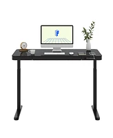 Flexispot EG9B-e, Electric Height Adjustable Glass Top Standing Desk, Black