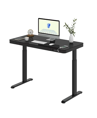 Flexispot EG9B-e, Electric Height Adjustable Glass Top Standing Desk, Black