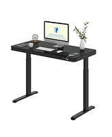 Flexispot EG9B-e, Electric Height Adjustable Glass Top Standing Desk, Black